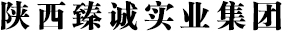 陕西省建筑行业典范企业