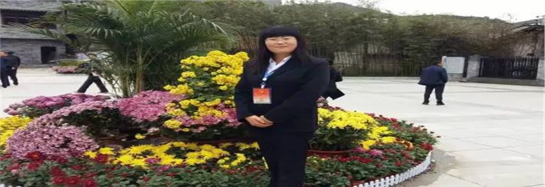 张兰英（陕西）：记一位具有生命高度的人