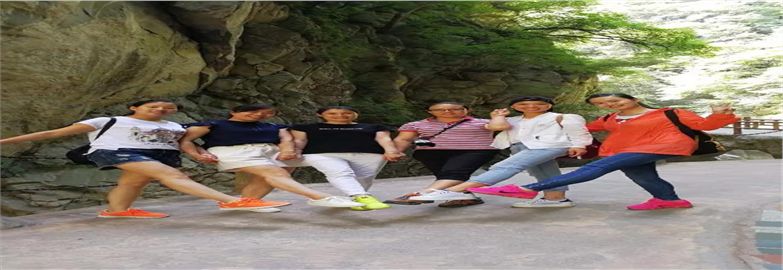 养眼┃臻诚实业财务科太平森林公园一日游