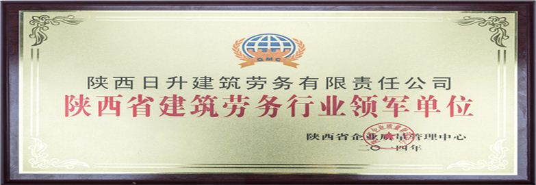 陕西省建筑劳务行业领军单位