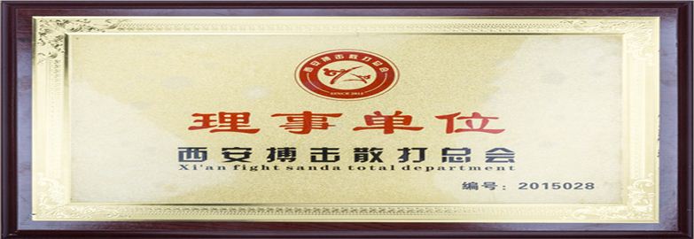 西安搏击散打总会理事单位/突出贡献奖