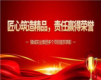 臻诚荣誉|臻诚实业集团多个项目喜获表彰